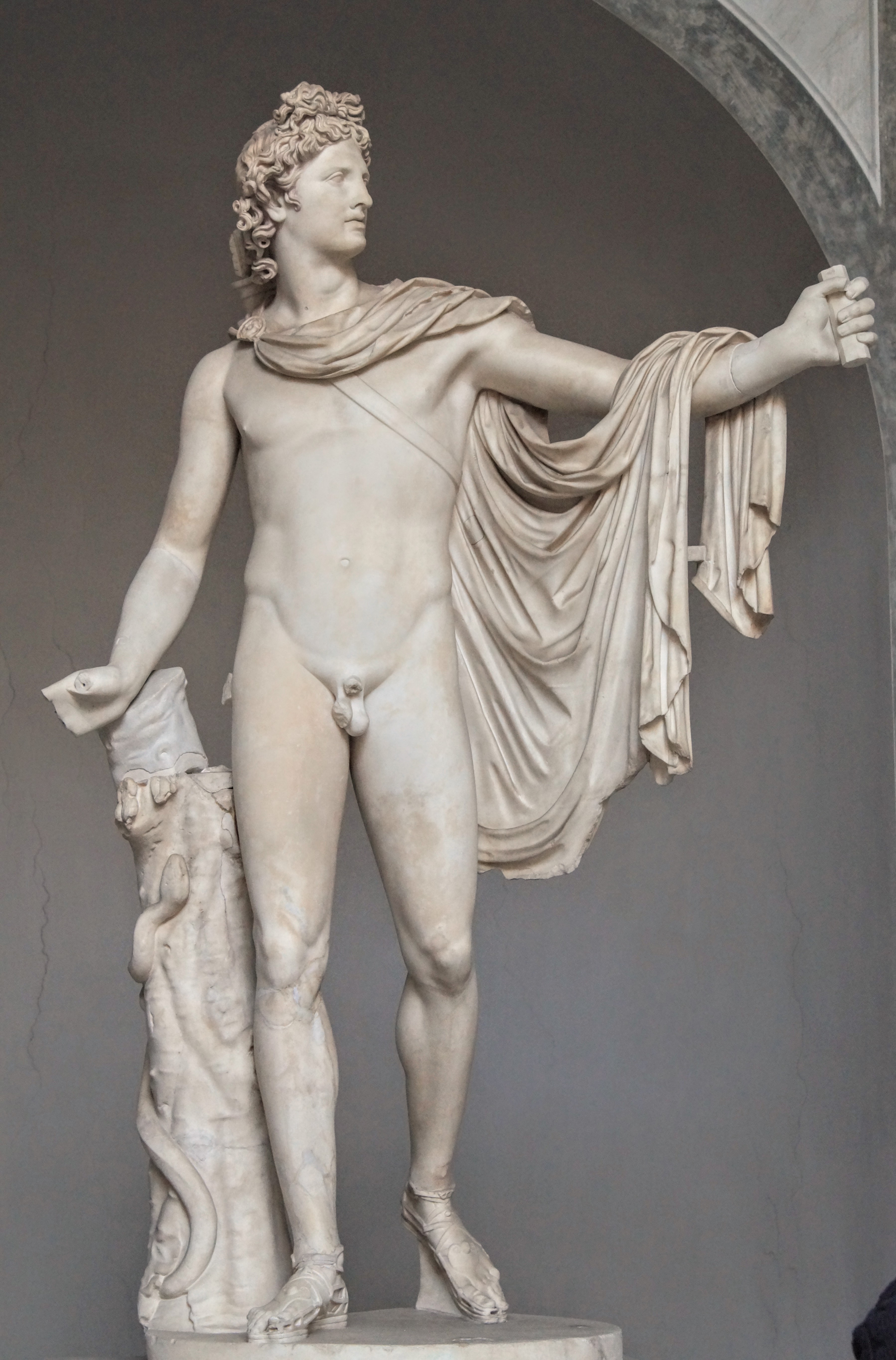 Ο Απόλλωνας του Μπελβεντέρε στην Αυλή του Μπελβεντέρε ( Φωρογραφία Νίκος Πράσσος )