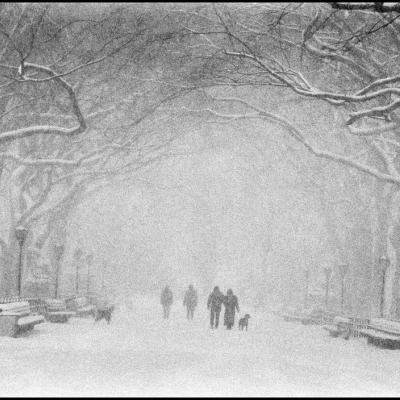 Snowstorm in Central Park, Bruce Davidson, Magnum Photos