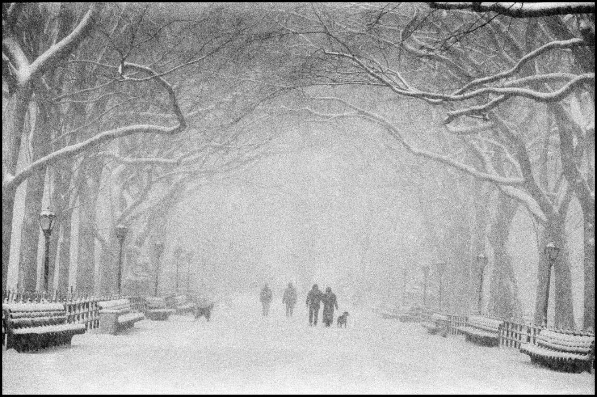 Snowstorm in Central Park, Bruce Davidson, Magnum Photos