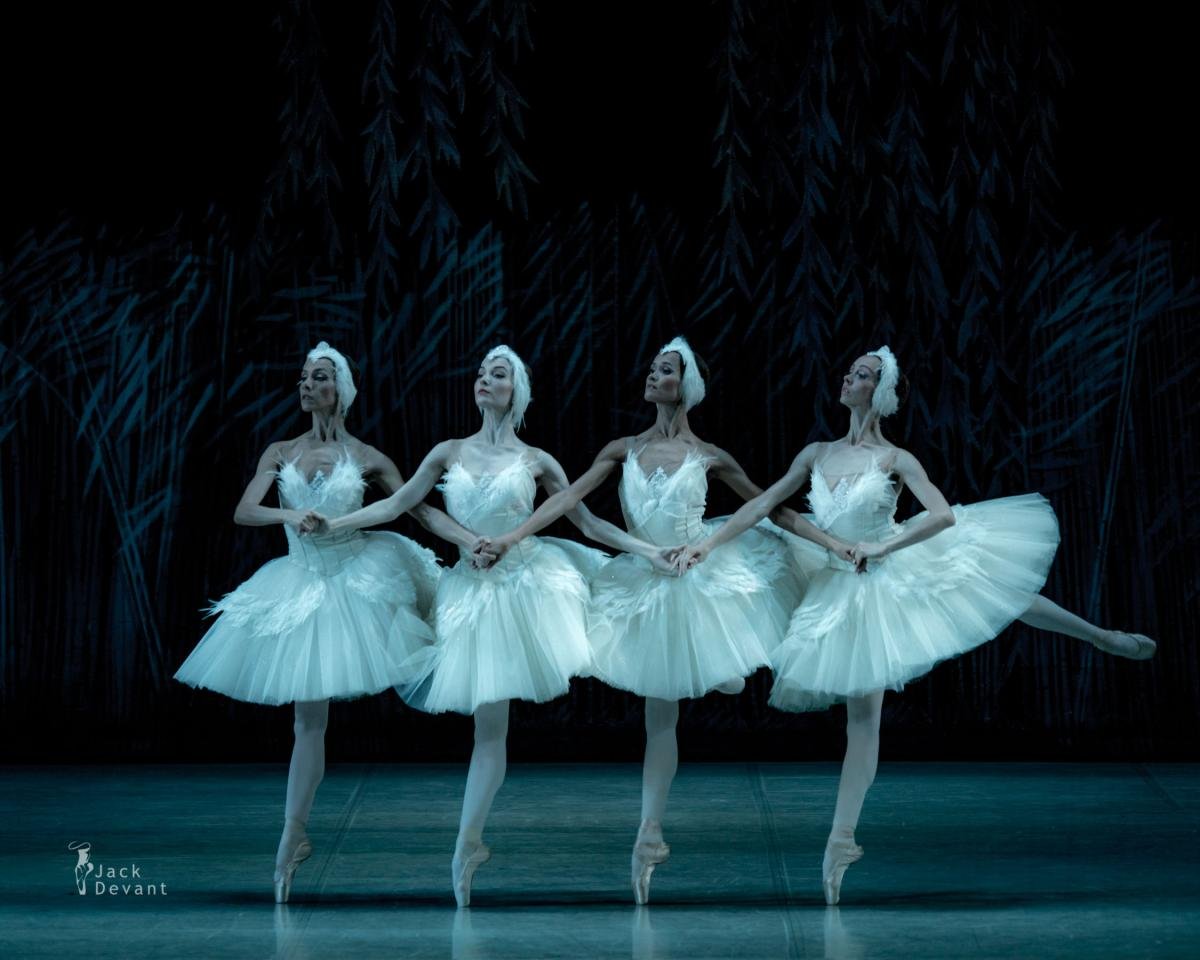 Swan-Lake