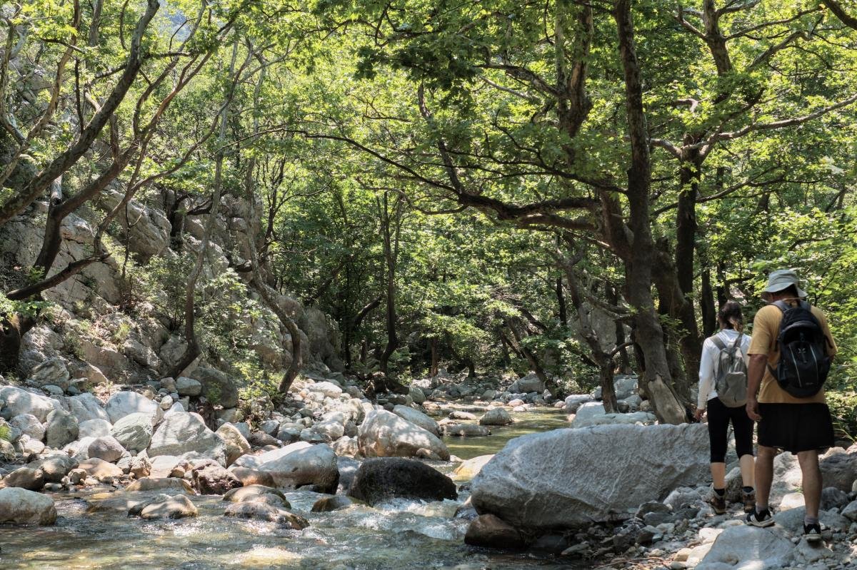 φαράγγι Στροπώνων Φωτογραφία Νίκος Πράσσος
