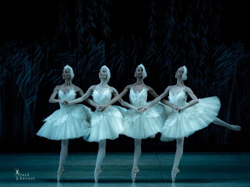 Swan-Lake