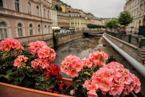 Karlovy Vary Νίκος Πράσσος
