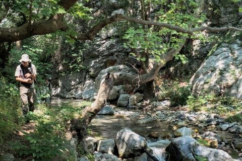 Φαράγγι Στροπώνων Φωτογραφία Νίκος Πράσσος
