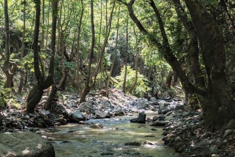 Φαράγγι Στροπώνων Φωτογραφία Νίκος Πράσσος