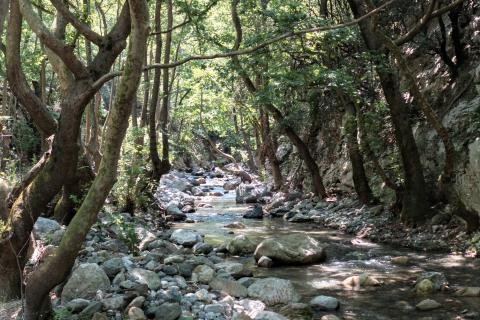 Φαράγγι Στροπώνων Φωτογραφία Νίκος Πράσσος