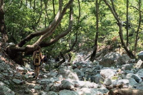 Φαράγγι Στροπώνων Φωτογραφία Νίκος Πράσσος