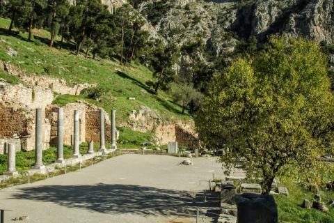 Δελφοί 29 Φωτογραφία Νίκος Πράσσος @paspartou.gr